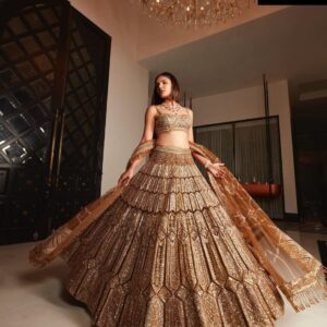 Premiums Heavy Malai Silk Lehnga