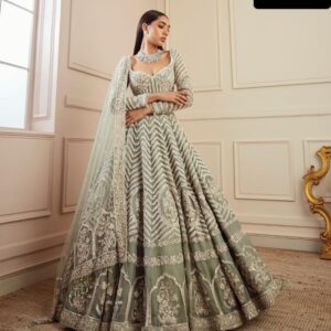 Georgette lehnga with heavy sequence